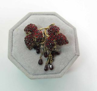 Drippy Antique Victorian Rose & Pear Cut Bohemian Garnet Fringed Brooch / Pin 7