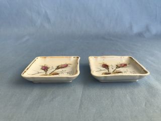 Antique Butter Pats Porcelain Royal Ironstone Alfred Meakin England Moss Rose 2 4