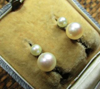Stunning 18ct White Gold Cultured Pearl Earrings