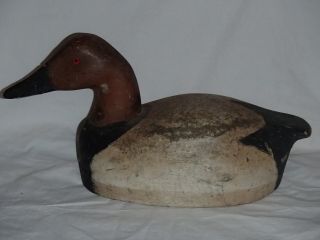 Antique Drake Canvasback Decoy,  Handmade