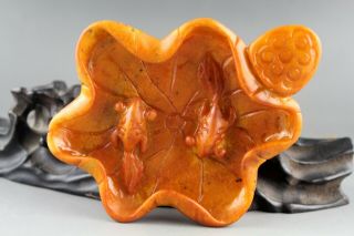 4.  8  Chinese Old Red Yellow Jade Hand - Carved Goldfish Write Brush Washer 1244