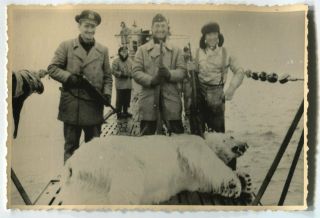 German Wwii Archive Photo: Kriegsmarine U - Boat Crew In Arctic With Trophy