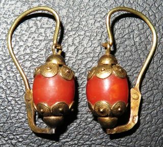 Lovely Victorian 18 Carat Gold And Mediterranean Coral Incredible Earrings