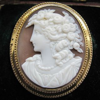 Rare Victorian Antique 9ct Gold Carved Shell Cameo Brooch With Case