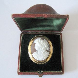 Rare VICTORIAN ANTIQUE 9ct GOLD CARVED SHELL CAMEO BROOCH with CASE 3