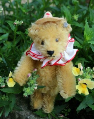 Antique Steiff teddy bear c1930 6