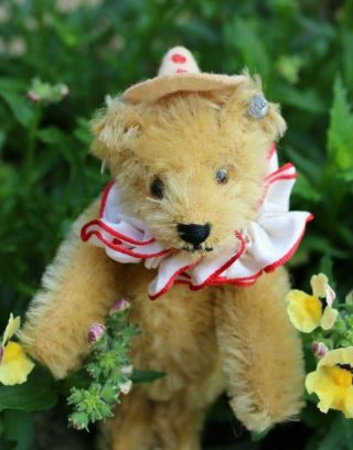 Antique Steiff teddy bear c1930 7