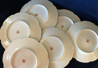 RARE 20 Pc RS PRUSSIA Satin Finish Bowl Lid Cups Saucers Plates Roses Red Mark 6