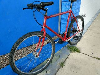Vintage 1980s Handmade Ritchey Mtn Bike