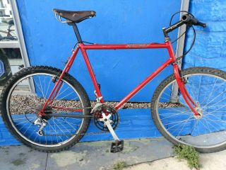 Vintage 1980s Handmade Ritchey Mtn Bike 2