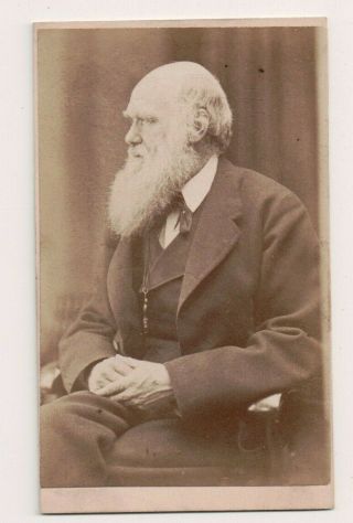 Vintage Cdv Charles Darwin English Naturalist,  Geologist And Biologist Rare