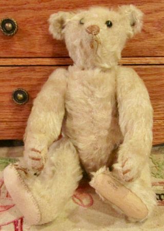 Antique C1906 10 " German Rare White Steiff Mohair Teddy Bear W/blank Button