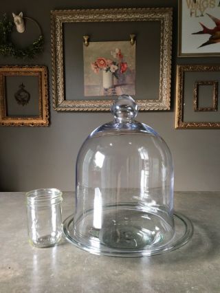 Vintage Clear Glass Cloche Dome Display Diorama Terrarium Apothecary With Base 2