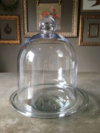 Vintage Clear Glass Cloche Dome Display Diorama Terrarium Apothecary With Base 8