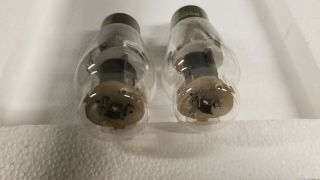 Pair vintage WESTERN ELECTRIC 350B amplifier tube 5