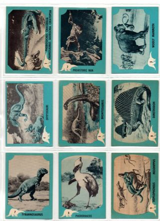 Vintage - 1961 Nu - Cards Dinosaur (complete Set)