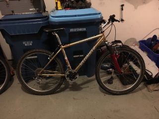 Specialized Vintage Bart Brentjens Olympic Edition Gold S - M2