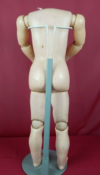 Antique Large German Kestner Excelsior Fully Jointed Doll Body 6