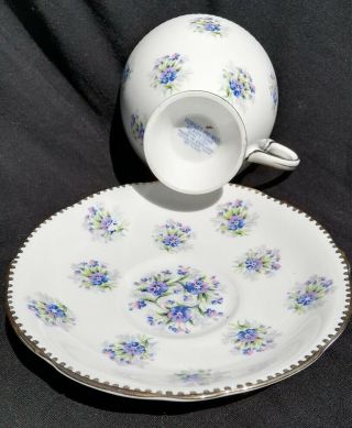 Vintage Gladstone Bone China Teacup And Saucer Forget Me Not
