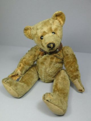 Antique Fully Jointed 16 " Teddy Bear Steiff Strunz Five Claws Humped Back