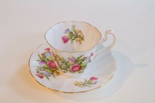 Royal Adderley England Vintage Bone China Thistle Tea Cup And Saucer Tartan