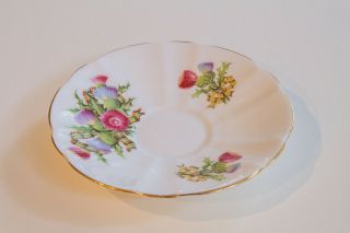 Royal Adderley England Vintage Bone China Thistle Tea Cup and Saucer Tartan 4