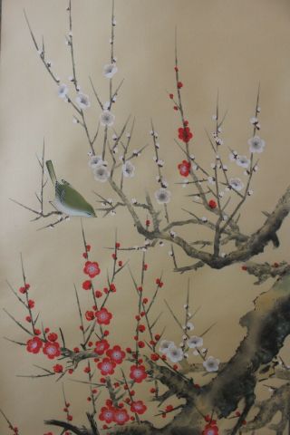 A06k1 梅 Red & White Ume Plum Tree & Bush Warbler Japanese Hanging Scroll
