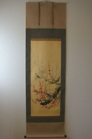 A06K1 梅 Red & White Ume Plum Tree & Bush Warbler Japanese Hanging Scroll 2