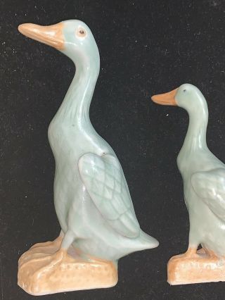Antique Chinese Blue Celadon Duck Goose Republic Period 2