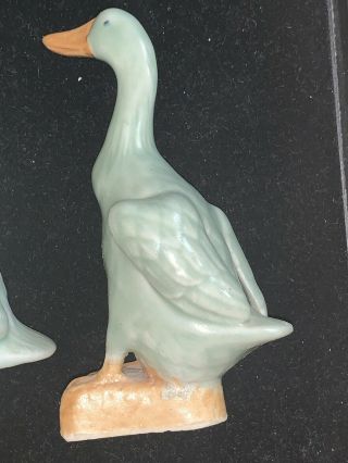 Antique Chinese Blue Celadon Duck Goose Republic Period 3