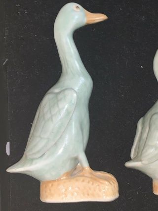 Antique Chinese Blue Celadon Duck Goose Republic Period 5