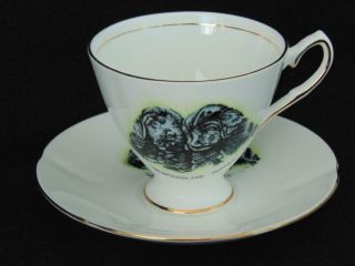 Elizabethan Fine Bone China Adorable " Newfoundland Puppies " Cup & Saucer - Great