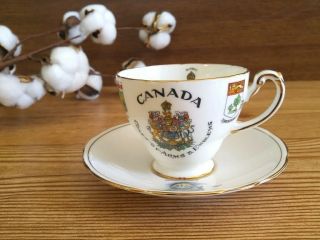 Vintage Royal Stafford Bone China Tea Cup And Hammersley Saucer Made In England