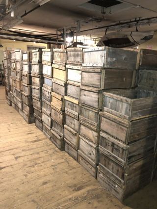 Vintage Wooden Cranberry Boxes/crates England Cape Cod Farming Cranberries