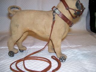 Antique Pug Dog Pull Toy Muzzled With Leash Late 1800s
