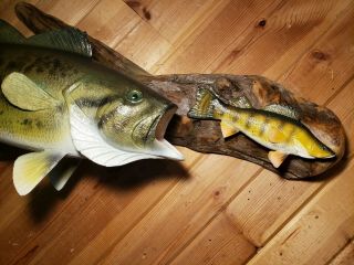Largemouth bass perch wood carving fish taxidermy fishing lure Casey Edwards 3