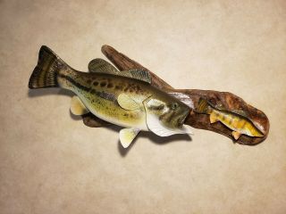 Largemouth bass perch wood carving fish taxidermy fishing lure Casey Edwards 4