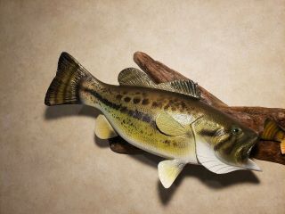 Largemouth bass perch wood carving fish taxidermy fishing lure Casey Edwards 8