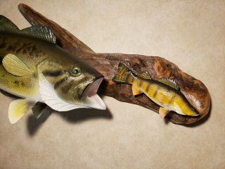 Largemouth bass perch wood carving fish taxidermy fishing lure Casey Edwards 9