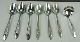 91 PC ROSE AND LEAF National Silver Co Silverplate Flatware Set Case 6