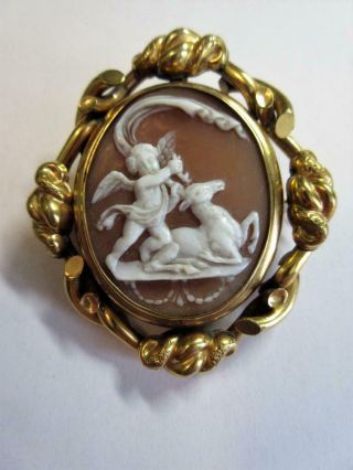 Antique Victorian Carved Shell Cameo Brooch - Cherub With Stag - Swivel Frame