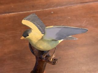 Fantastic Vintage Miniature American Goldfinch Bird Carving signed Emily Lee ? 2