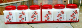 Vintage Tipp City Flowers Range Shakers S,  P,  F,  S Paprika And Cinnamon With Rack