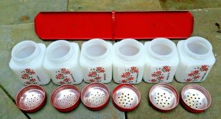 VINTAGE TIPP CITY FLOWERS RANGE SHAKERS S,  P,  F,  S PAPRIKA AND CINNAMON WITH RACK 3