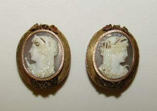 , Antique Victorian 9 Ct Gold Carved Shell Cameo Earrings