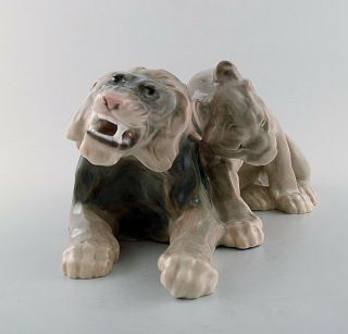 Knud Kyhn for B&G (Bing & Grondahl).  Large rare porcelain figure,  lion couple 2