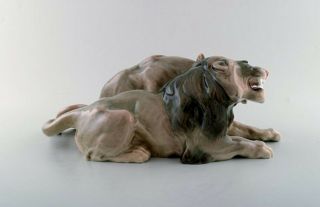 Knud Kyhn for B&G (Bing & Grondahl).  Large rare porcelain figure,  lion couple 3