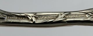 Rare Pair Tiffany & Co Sterling Silver Chrysanthemum Pate Knives M Mono (2/6) 6