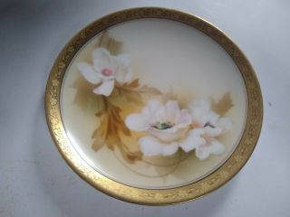 Antique Royal Vienna Germany White Floral Porcelain Plate 6 1/4 " Gold Trim