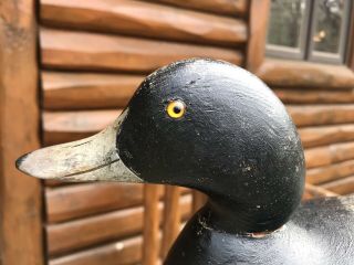 VINTAGE MASON CHALLENGE GRADE BLUEBILL DRAKE DUCK DECOY PAINT 4